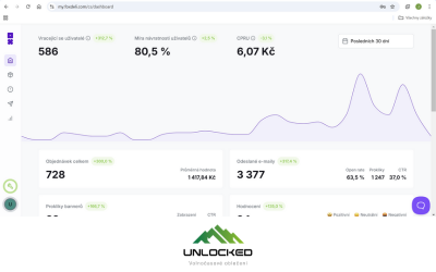 Výsledky Vánoční sezóny 2024 na internetovém obchodu pro B2C